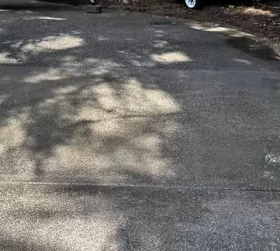 Same concrete driveway after moss removal and pressure washing